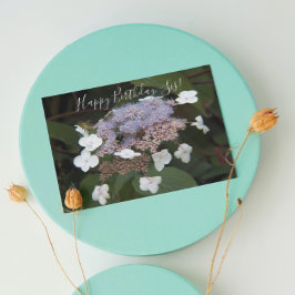 Cartão Para a Irmã Hydrangea Aspera Floral de Aniversário