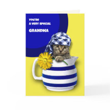 Para a vovó no Dia de as mães. Gatinho Gato