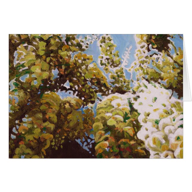 Cartão Para a wisteria 2011 (Frente Horizontal)