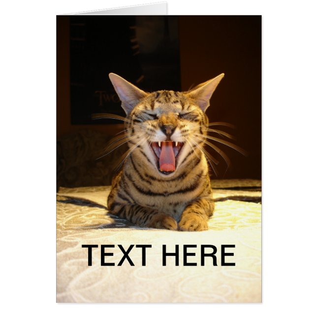 Cartão para alguma ocasião (Frente)