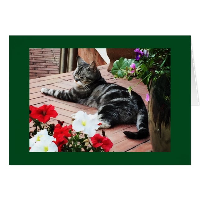 Cartão Para as catlovers do mundo! (Frente Horizontal)