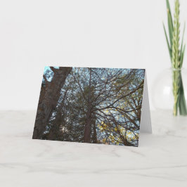 Cartão Para cima através das filiais