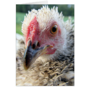 Cartão Para Cima e Pessoal com um Frasco