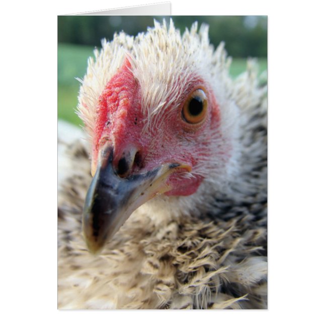 Cartão Para Cima e Pessoal com um Frasco (Frente)