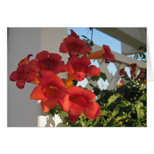 Cartão para confortar uma pessoa enlutada em um di (Frente Horizontal)