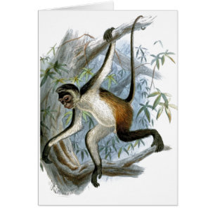 Cartão para crianças de um macaco malhado CC0366