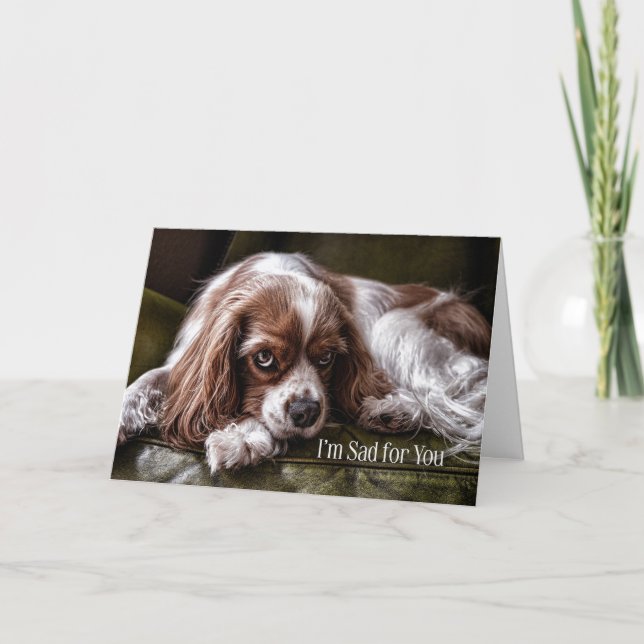Cartão Para Crianças Simpatia Cachorro Cocker Spaniel Tri (Frente)