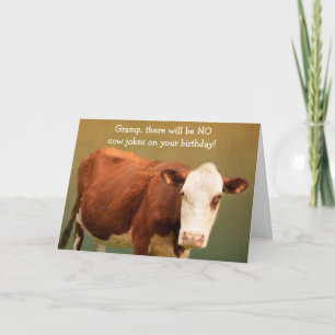 Cartão Para Gramp Funny Cow Birday Card