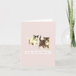 Cartão Para Mim, Você é Perfeito-Gato Vintage Punny Card
