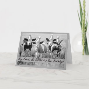 Cartão Para o Amigo Gado de Festa de aniversário Engraçad