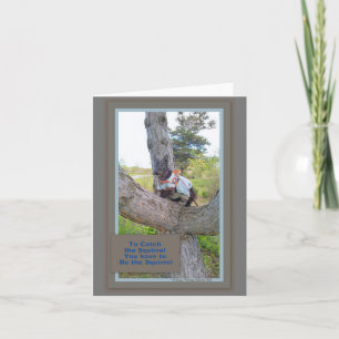 Cartão Para pegar a placa de esquilo