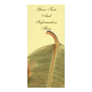 Cartão para rack de licença verde