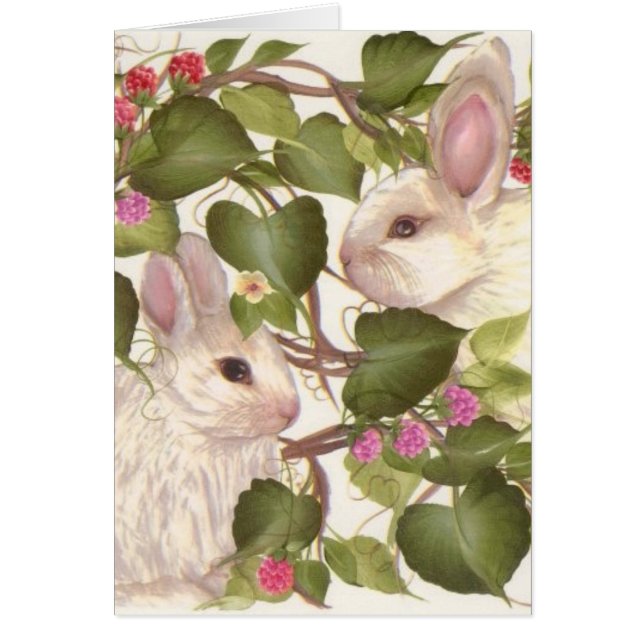 Cartão Para sempre coelhos (Frente)