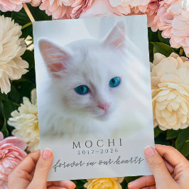 Cartão Para Sempre em Nossos Corações Memorial de Gato Pe