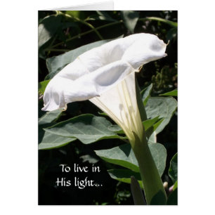 Cartão Para viver em sua luz