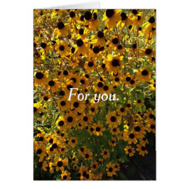 Cartão Para você Black Eyed Susan Flowers