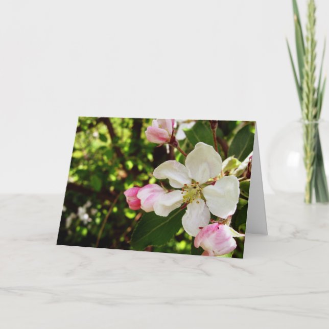 Cartão Parabéns_Apple-Blossom (Frente)