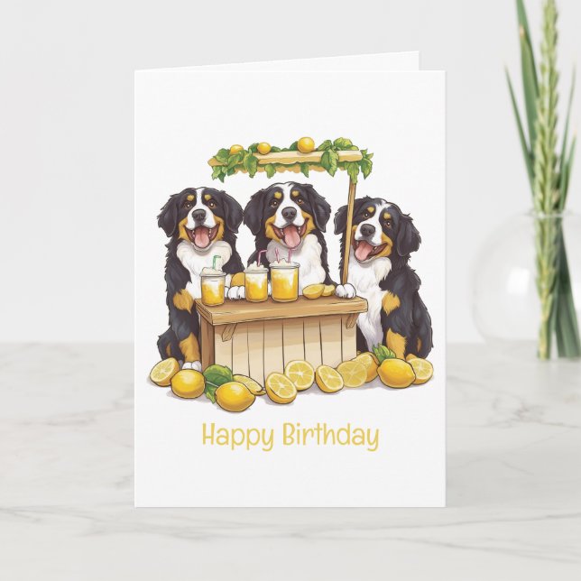 Cartão Parabéns Bernese Mountain Dog Lemonade Stand (Frente)