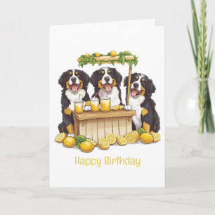 Cartão Parabéns Bernese Mountain Dog Lemonade Stand