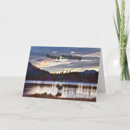 Cartão Parabéns, Bull Moose, Sprague Lake, Colorado