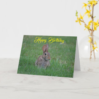 Cartão Parabéns, Bunny Card