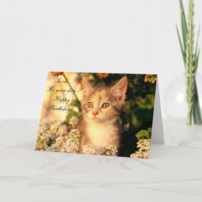 Cartão Parabéns com Kitten (Frente)