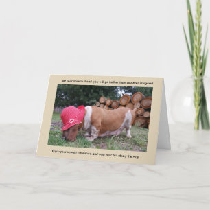 Cartão Parabéns da placa de hound basset