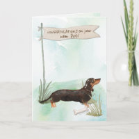 Parabéns de Dachshund Pretos e Bronzeados em Novo