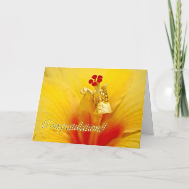 Cartão Parabéns de Hibiscus Amarelos (Frente)