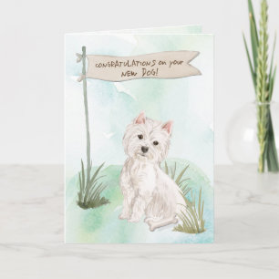 Cartão Parabéns de Westie no Cachorro Novo