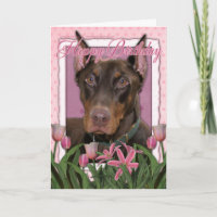 Parabéns - Doberman - Rocky