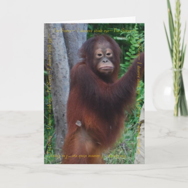 Cartão Parabéns e melhores desejos (Frente)