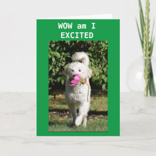 CARTÃO PARABÉNS EM SUA **NOVA PLACA DOMÉSTICA**