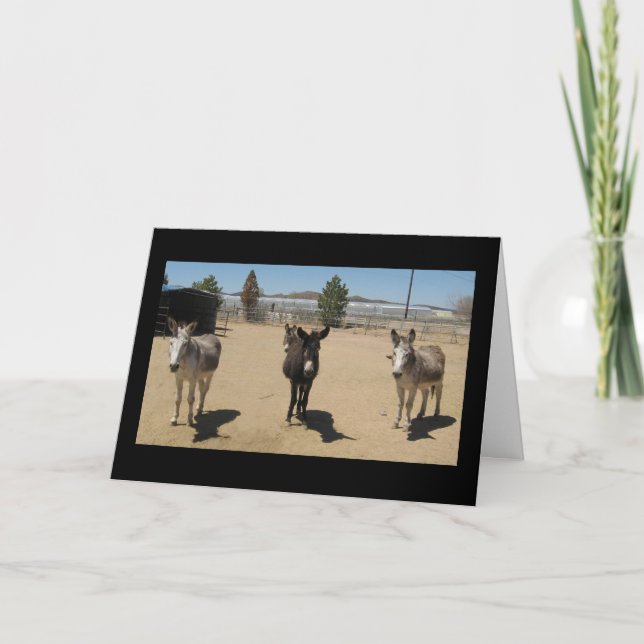 Cartão Parabéns Formandos Veterinários - Fazenda Ranhura (Frente)