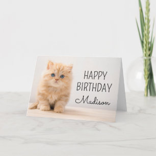 Cartão Parabéns Gatinho British Longhair