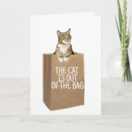 Cartão PARABÉNS (Gatos Fora Do Saco)