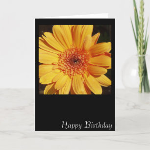 Cartão Parabéns Gerbera Card