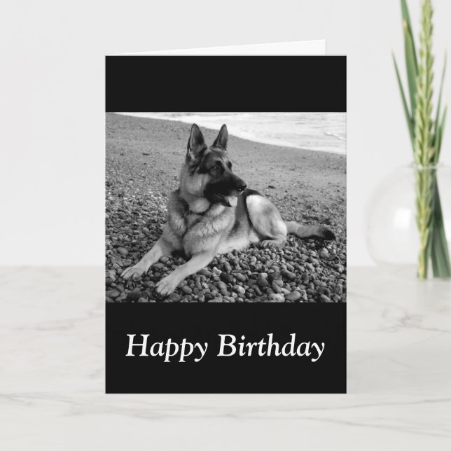 Cartão Parabéns German shepherd de aniversário (Frente)