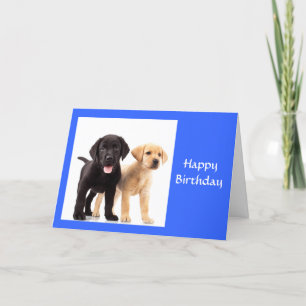 Cartão Parabéns, Labrador Retriever Puppies Card