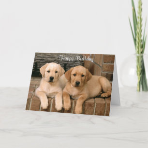 Cartão Parabéns, Labrador Retriever Puppies Card