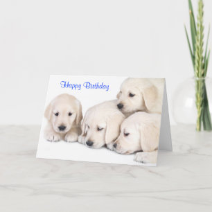 Cartão Parabéns, Labrador Retriever Puppies Card