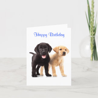 Cartão Parabéns, Labrador Retriever Puppies Card