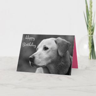 Cartão Parabéns Labrador Retriever Puppy Card
