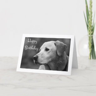 Cartão Parabéns Labrador Retriever Puppy Card