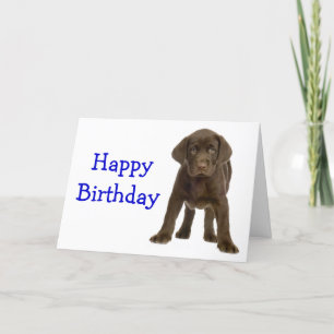 Cartão Parabéns Labrador Retriever Puppy Dog Card
