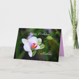 Cartão Parabéns Mãe Phalaenopsis Placa Orquídea