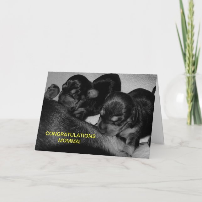 CARTÃO PARABÉNS MOMMA! (Frente)