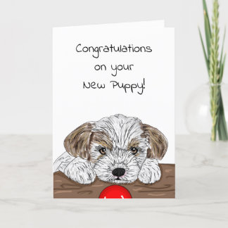 Cartão Parabéns no Novo Puppy!