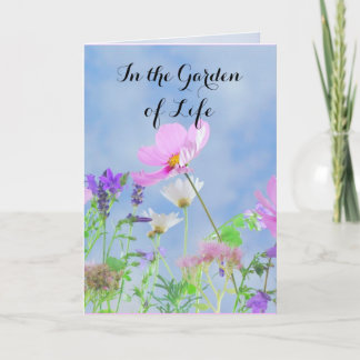 Cartão Parabéns no seu divórcio