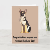 Parabéns no seu novo German shepherd